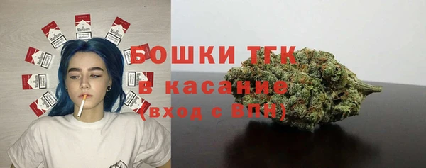 ПСИЛОЦИБИНОВЫЕ ГРИБЫ Карпинск