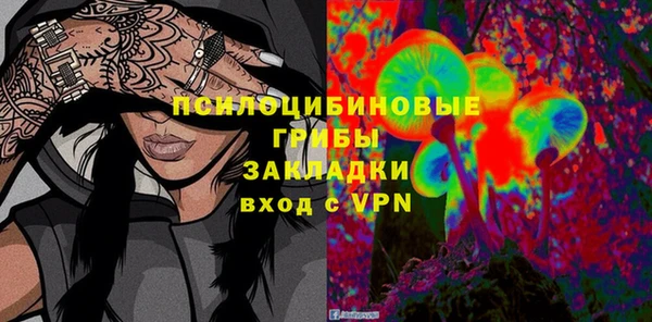 твердый Каменногорск