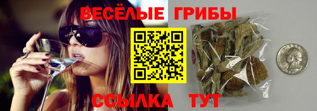Энгельс  Галлюциногенные грибы Psilocybe  Вход с VPN 