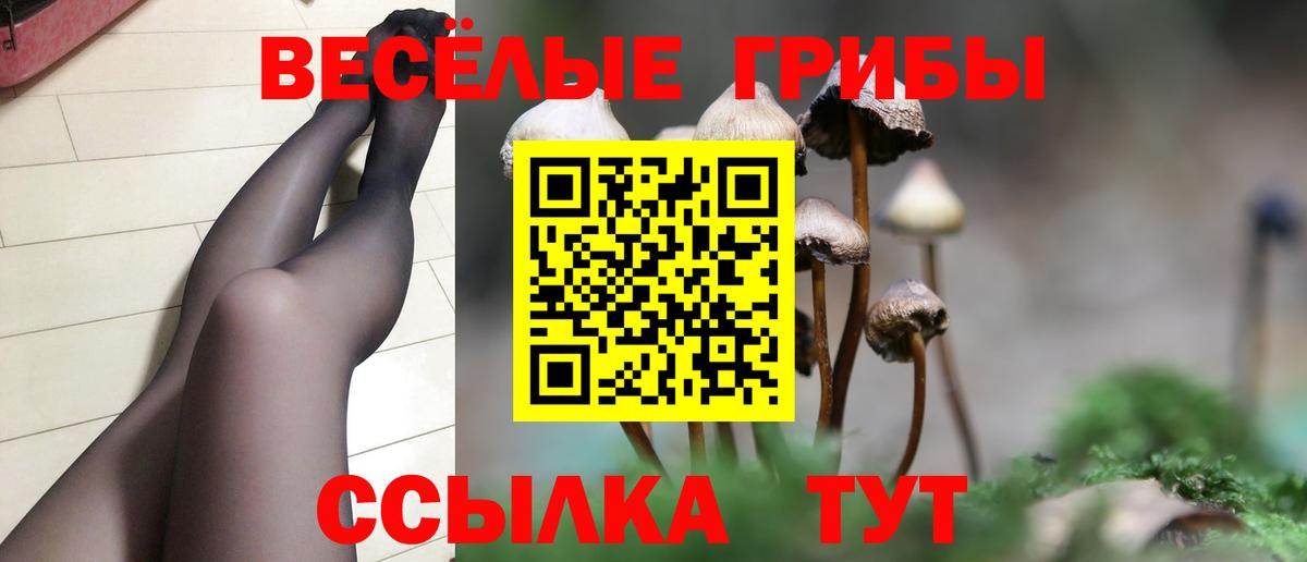 Псилоцибиновые грибы Psilocybe Энгельс